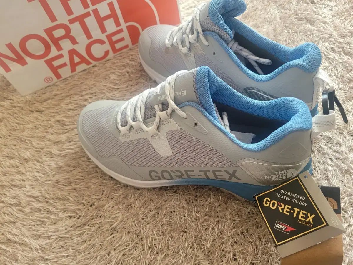 ザノースフェイス GORE-TEX