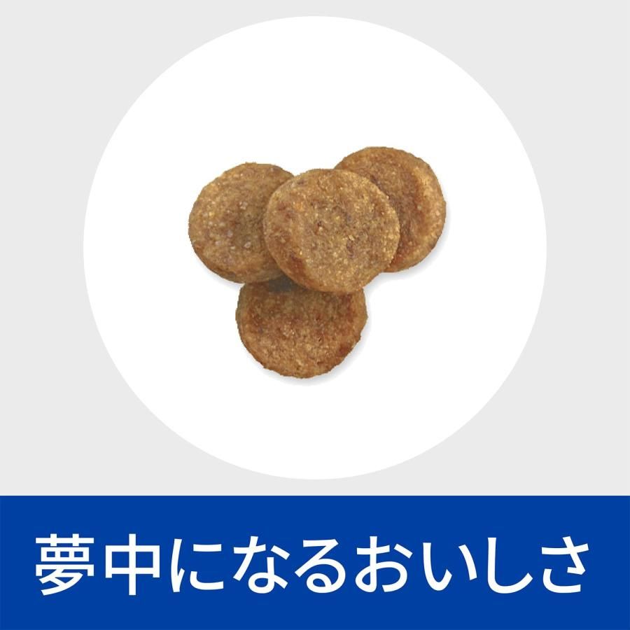 ドッグフード ドライ