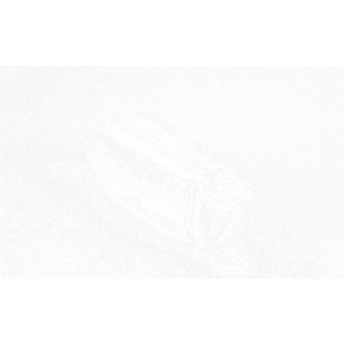 Ruud Gullit ルート・フリット Origins /299 Auto