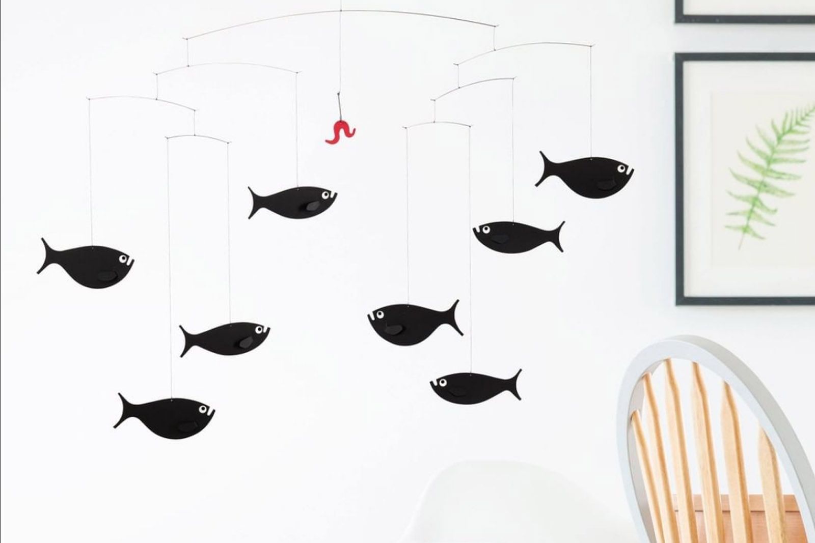 Fish