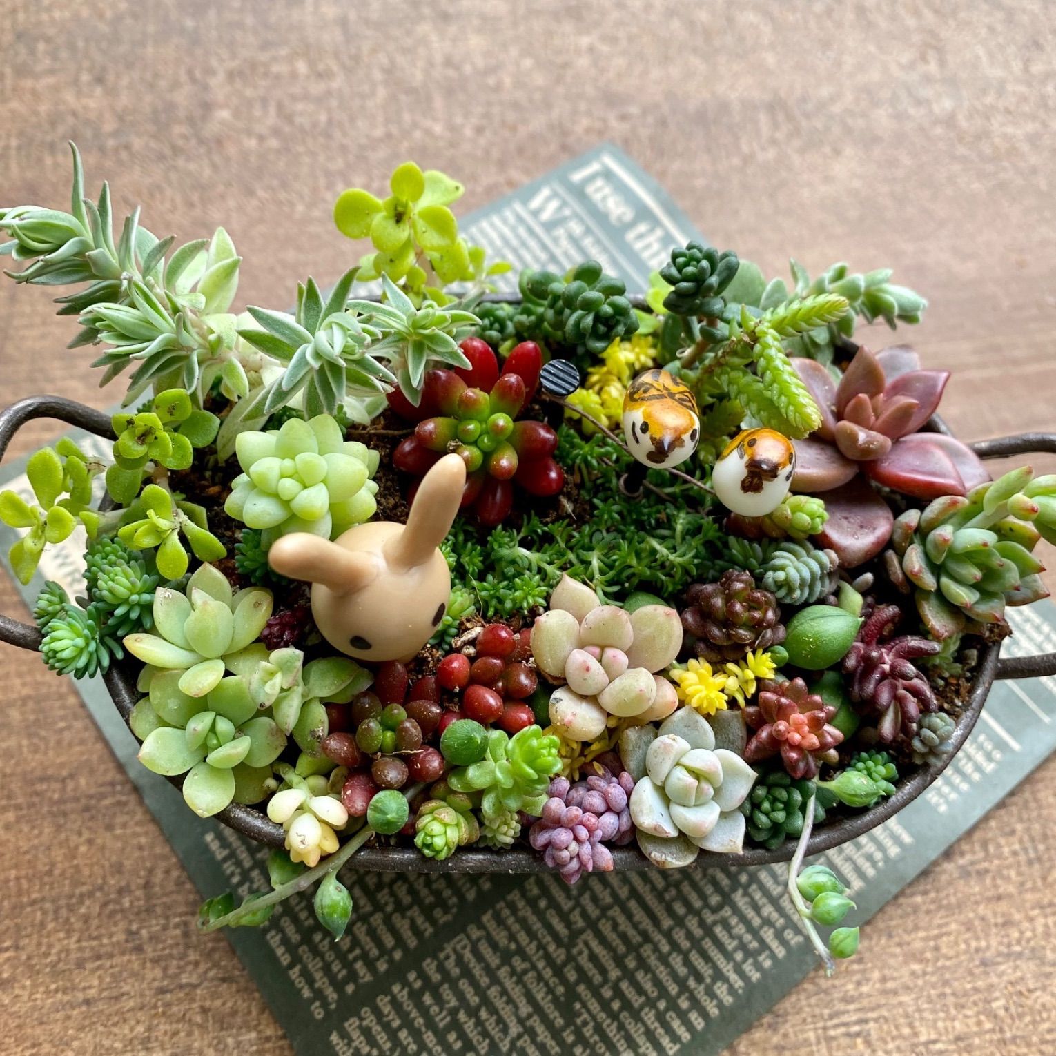 そのまま飾れる 箱庭風 多肉植物の寄せ植え ❀ウサギと雀のピック付き