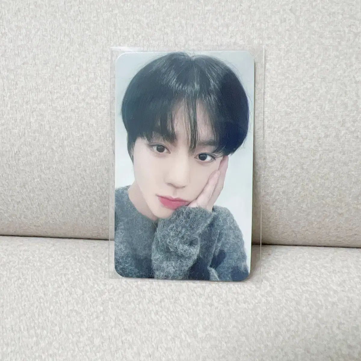 パクジフン センイルカフェ ぬいぐるみトレカセット パク・ジフン(PARK JIHOON) センイルカフェ フォトカード トレカ