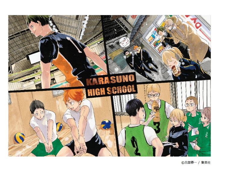 ★【未開封】ハイキュー!! 描き下ろしBIGタオル 未開封 ハイキュー!! ビックタオル 描き下ろし 烏野 ハイキュー展