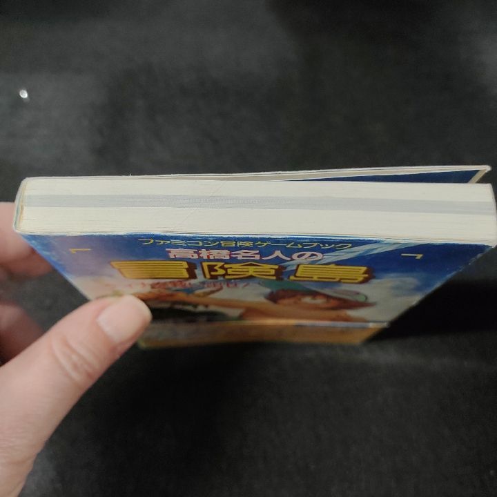 ファミコン冒険ゲームブック 高橋名人の冒険島 ティナを救い出せ
