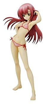 ヴィクトリースパーク　ハヤテのごとく！　水着のヒナギク　HYT/032 サイン Amazon.co.jp: 超・美ヴィクトリースパーク VS 水着の真璃 悠木碧