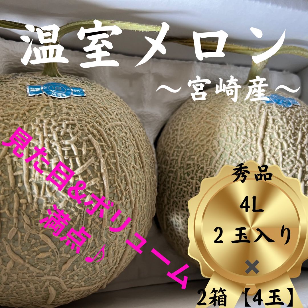 ボリューム満点♪】宮崎産 アールスメロン 1級品 4L 合計4玉 約8キロ