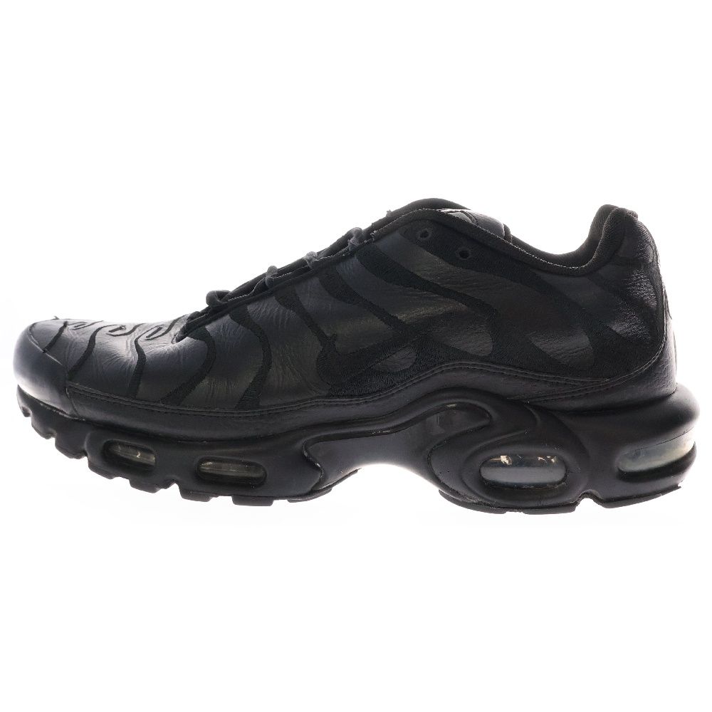 NIKE (ナイキ) AIR MAX PLUS TRIPLE BLACK AJ2029-001 エアマックス 
