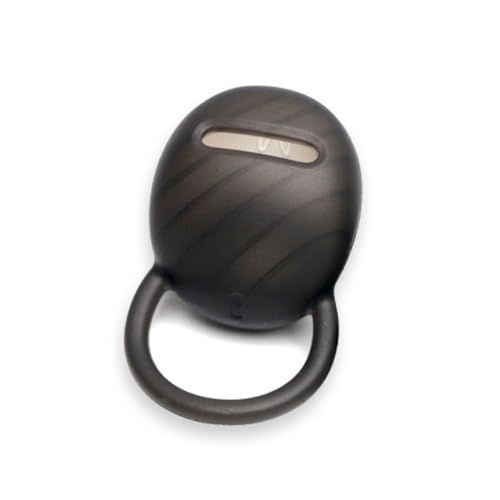 カリフォルニア ディズニーランド 70周年限定 ネックレス ミッキー キー