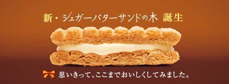 TEZ プレミアムバージンインディアンマスタードオイル 475ml×
