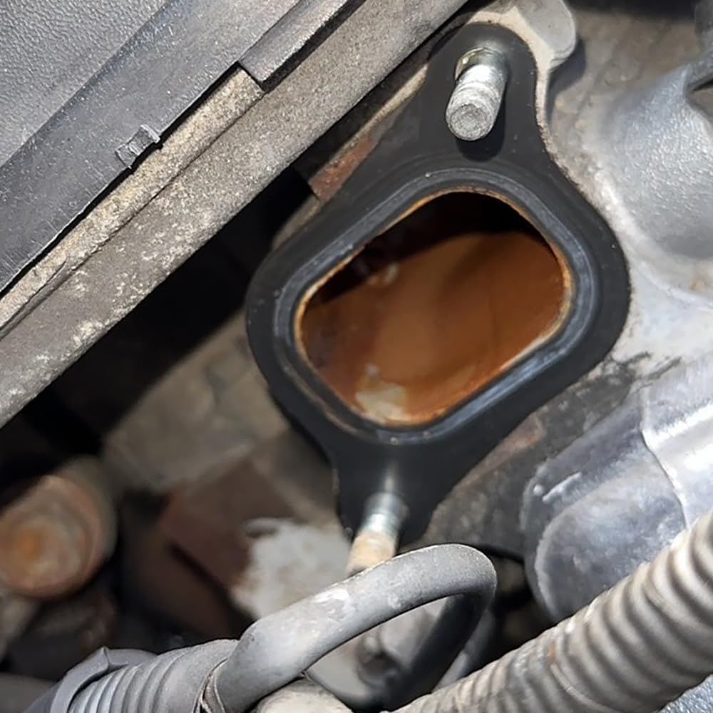 真作保証 鹿毛正三『夏の洞爺湖』油絵 油彩画 1989年 直筆サイン