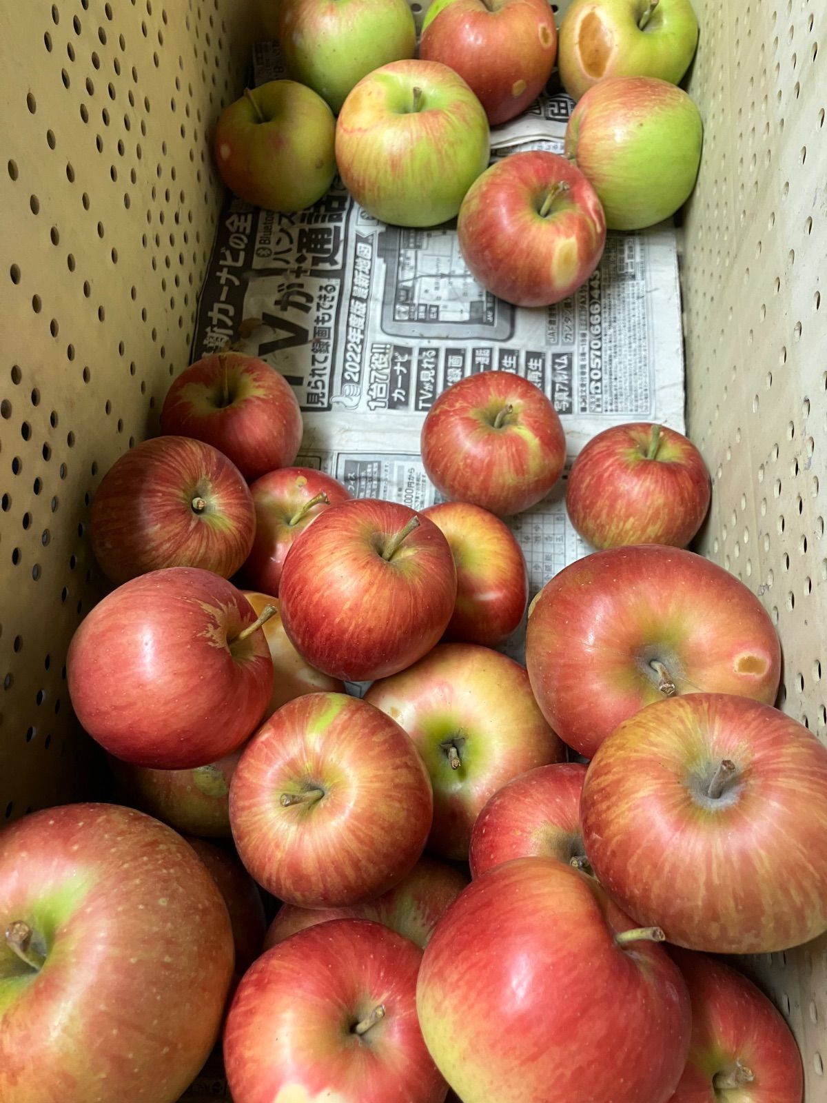 ☆３箱☆サンふじ専用出品☆ ☆３箱☆サンふじ専用出品☆ : 青森りんご「サンふじ」 (