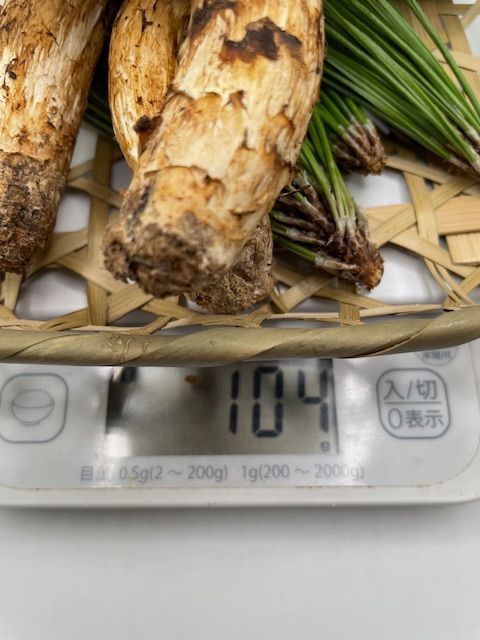 信州産　松茸　104ｇ　3本　送料込みクール便