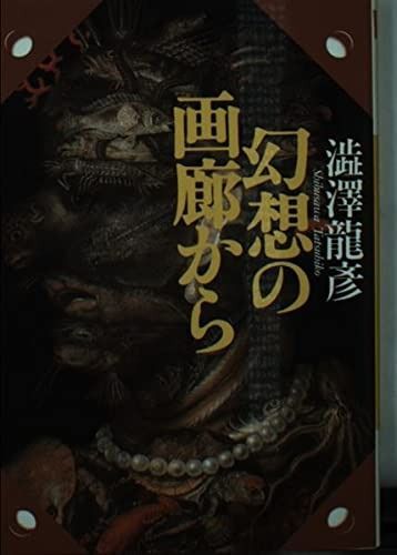 幻想の肖像 澁澤龍彦 幻想の肖像・デューラーの一枚｜Le yusée