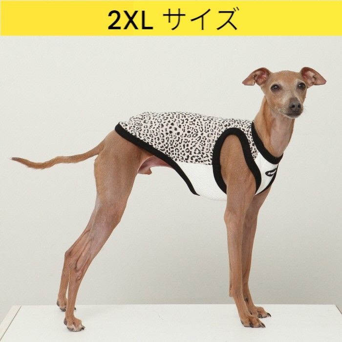 Fenderソフトケース付き】グラスルーツ 人時(黒夢)モデル