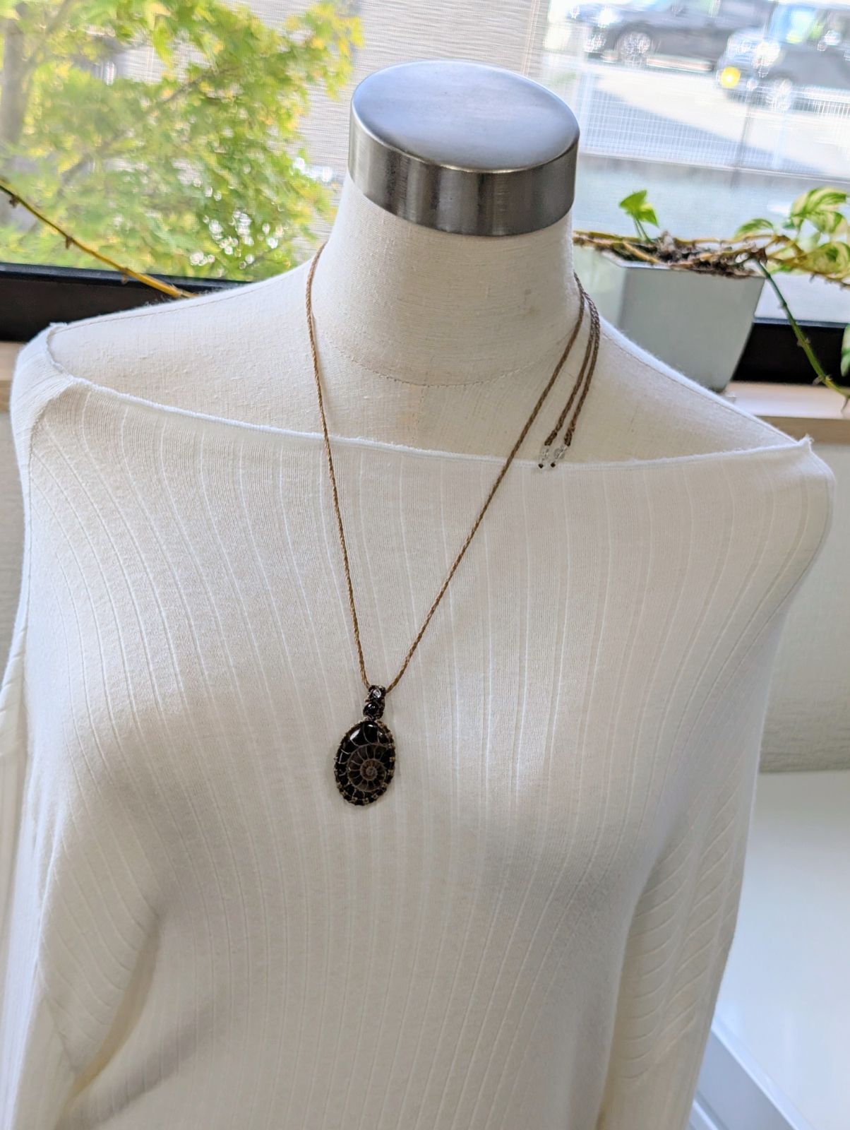 アンモナイト 化石