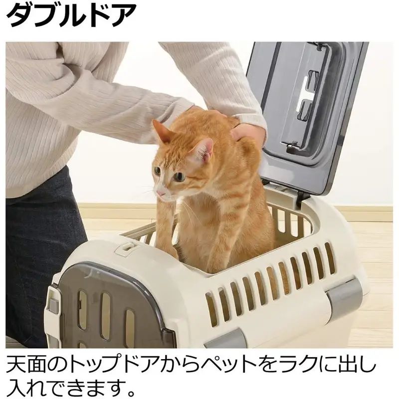 キャンプ用1個 アイボリー
