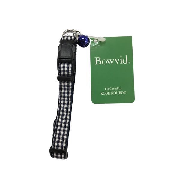 多肉植物 スターファイヤー 抜き苗 札付 【特定記録付】