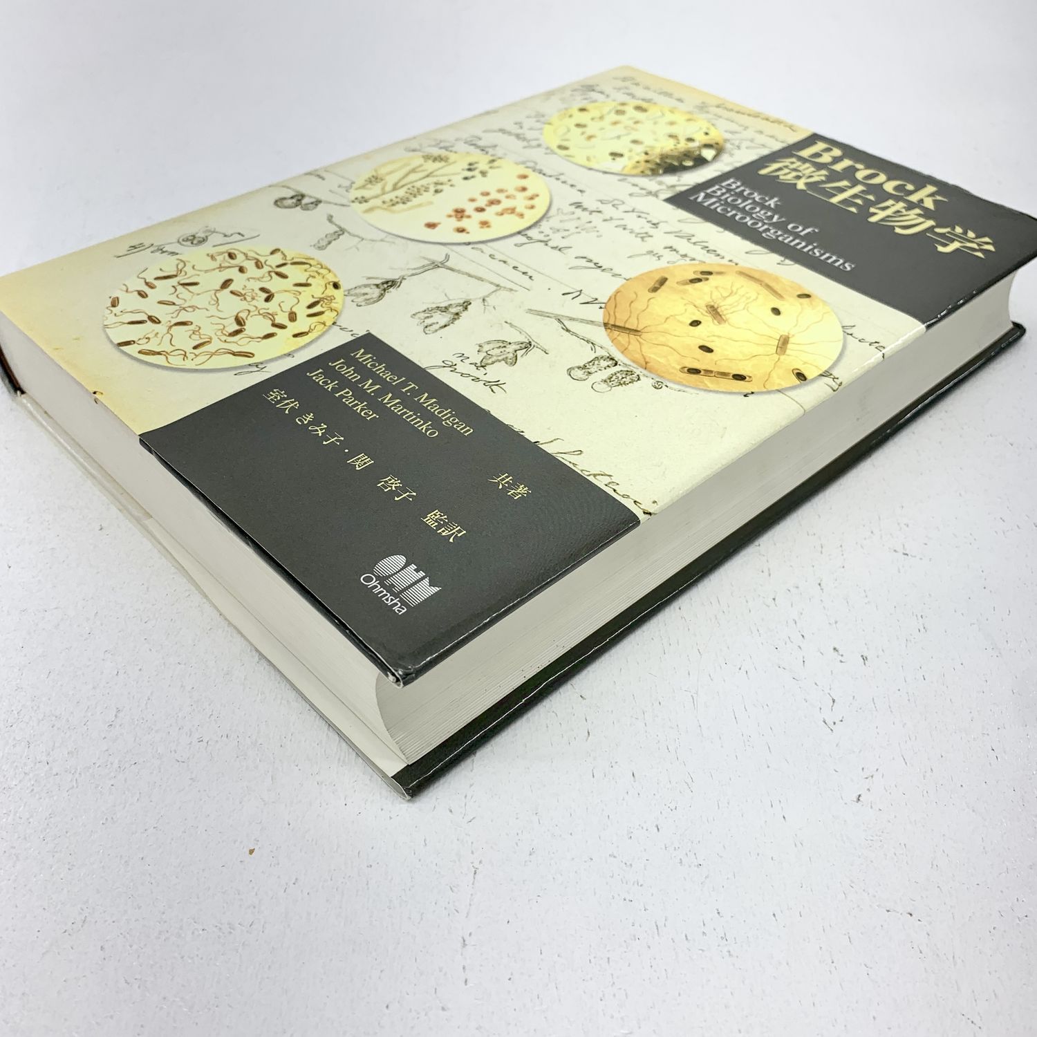 所さん 未使用 NP-61 所さん 新品未使用 NP-61