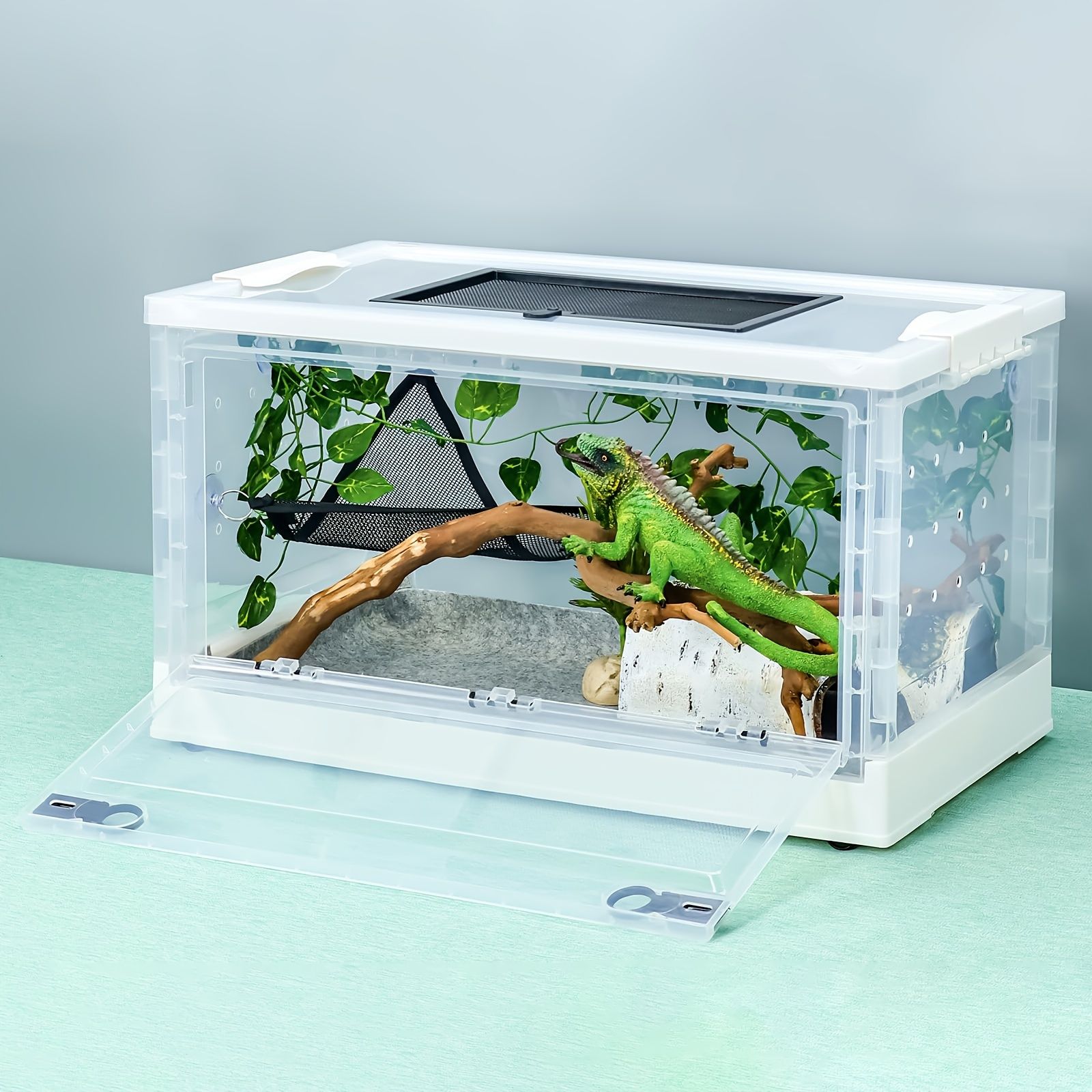 トカゲ カメレオン