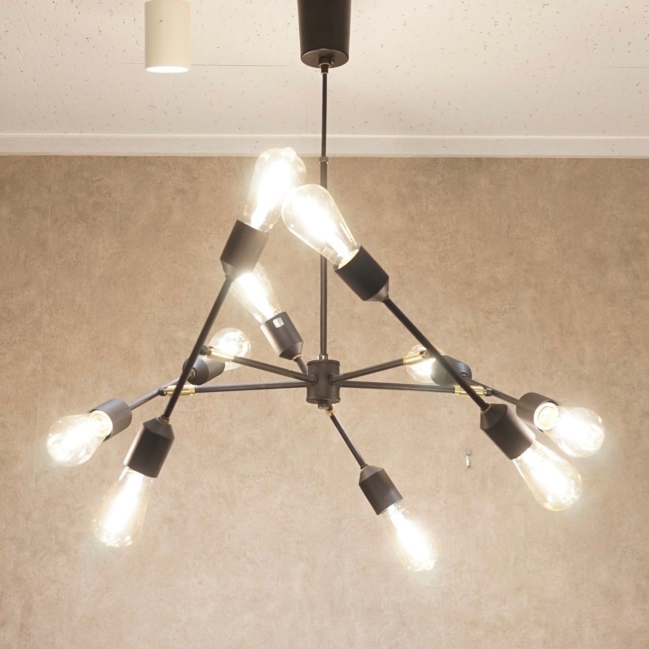 ペンダントライト 10灯 グラディスカ 可動式 黒 照明 LED モダン 北欧