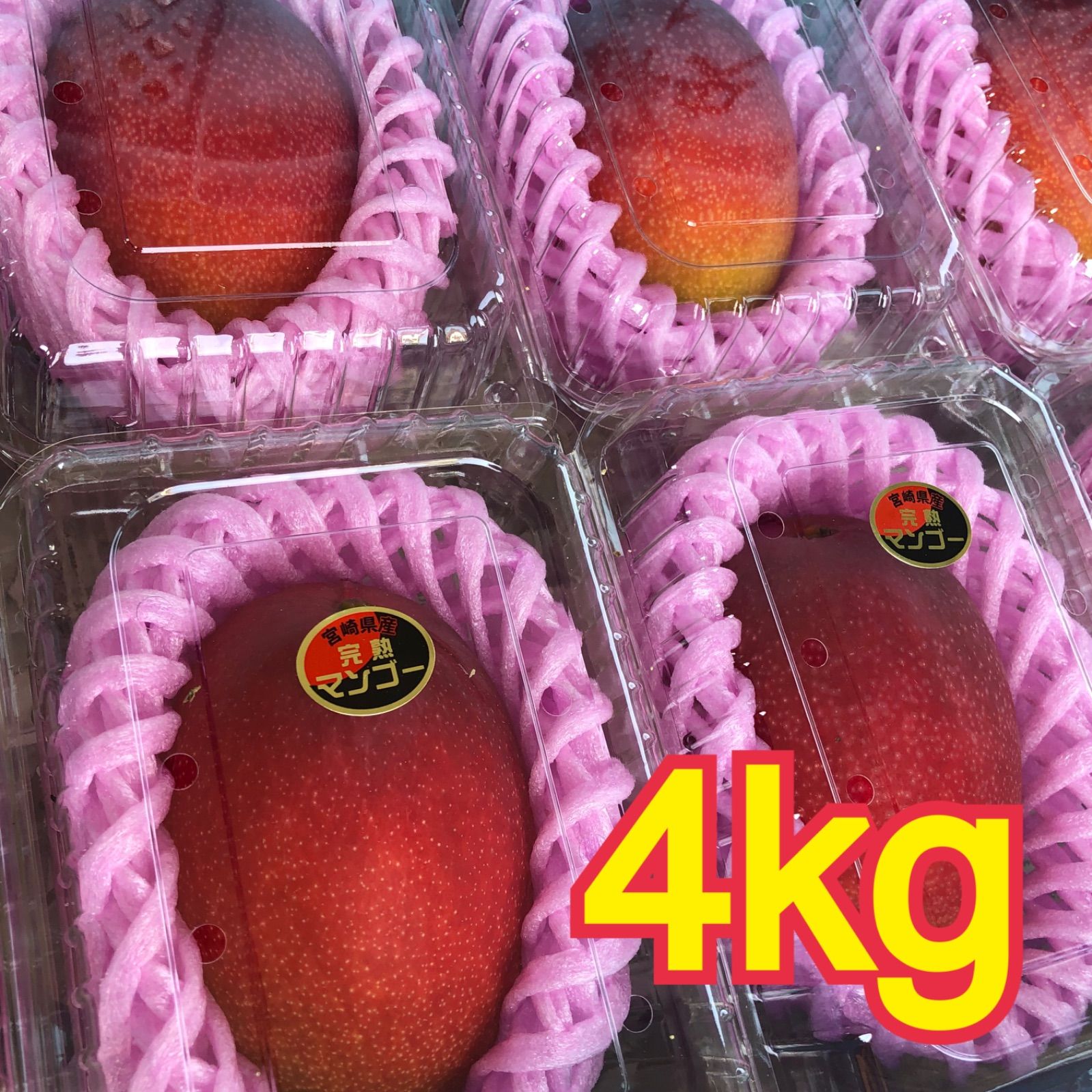 宮崎産 完熟マンゴー 4kg フルーツパック詰め