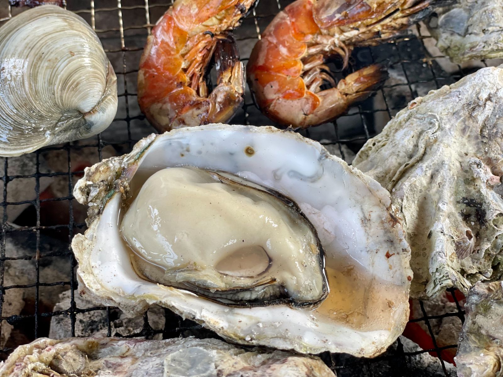 一斗缶 約80個入り