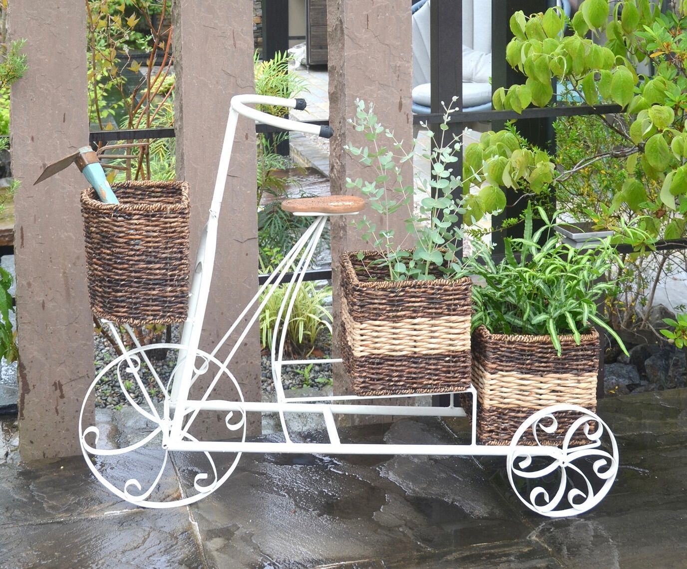 オリーブの木 3つの仕切りに何入れよう 約33cm オリーブ農家が実践