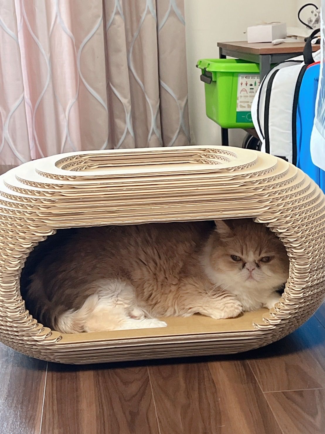 猫ちぐら Amazon | SENZANSUI[最新]キャットタワー ドーム型猫ハウス 猫ち