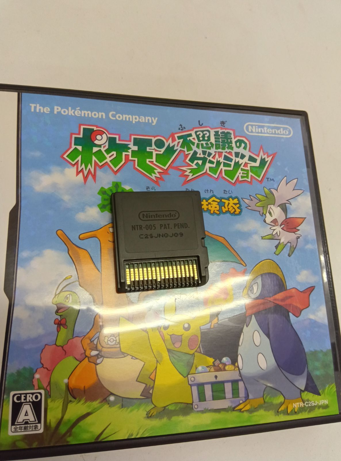 NintendoDSソフト ポケモン不思議のダンジョン 空の探検隊 起動