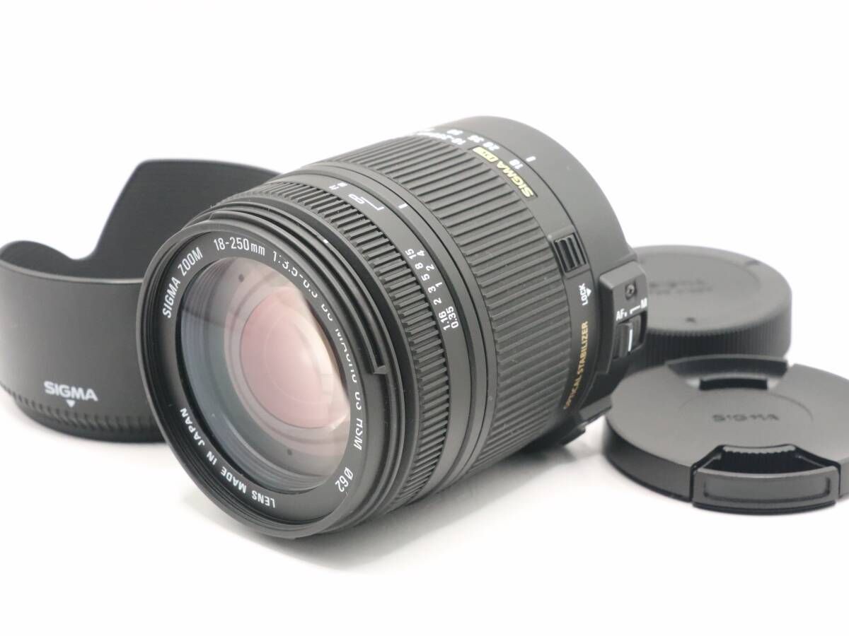 上 シグマ SIGMA 18-250mm F3.5-6.3 DC MACRO OS HSM NIKON ニコン用 I0410＃2297