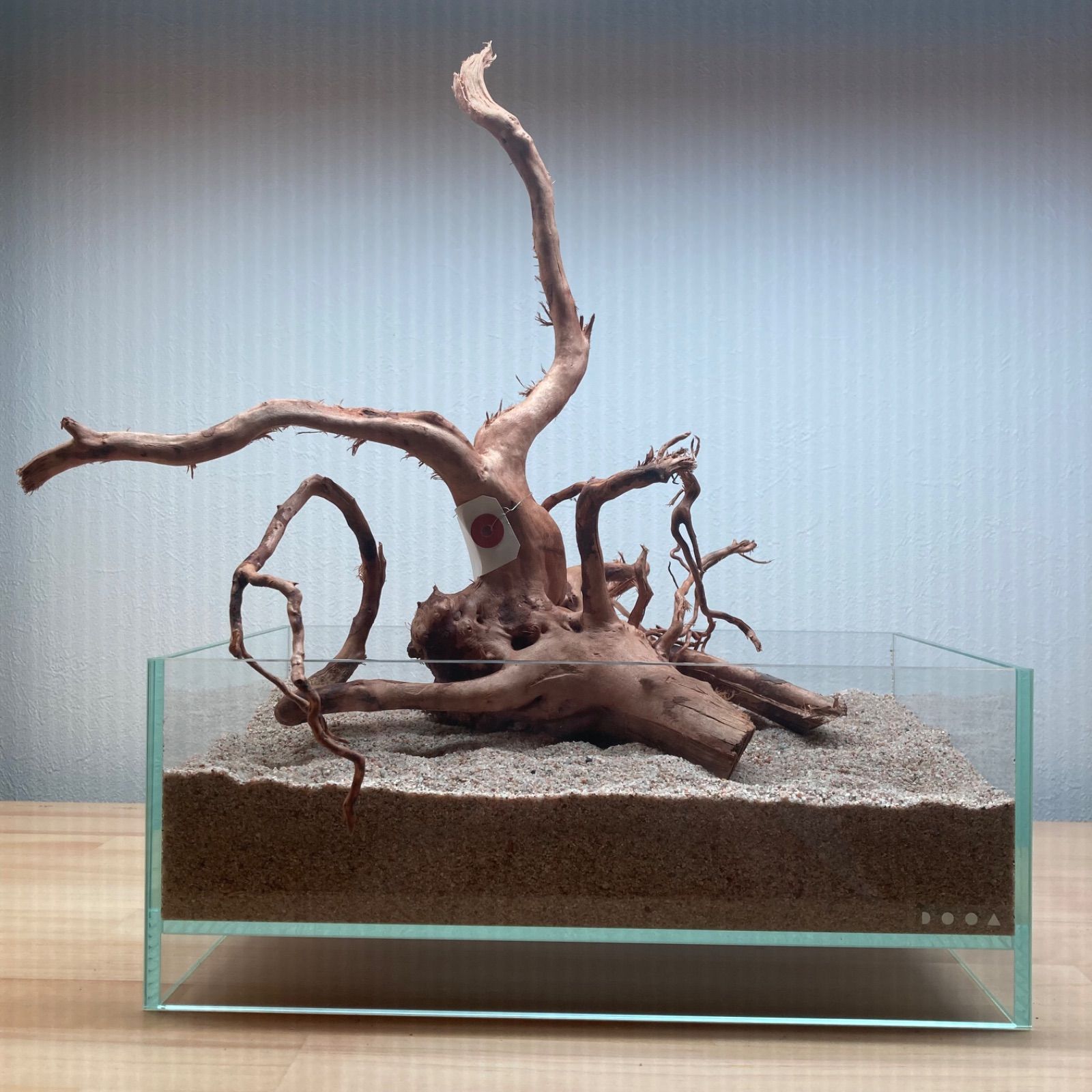 ADA ホーンウッド 流木セット ADA流木 アクアリウム・パルダリウム向け 特大ホーンウッド流木2個 ADA  流木