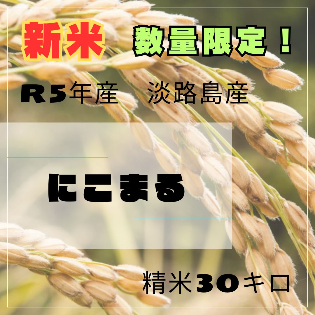 新米 令和5年 産 にこまる 精米30キロ 淡路島 精米小分け可30kg