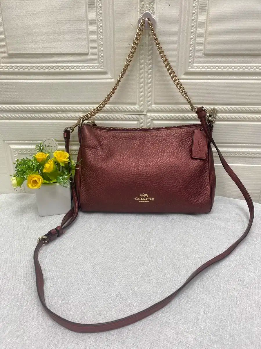 COACH コーチ 持ち運び チェーン ショルダーバッグ クロスバッグ