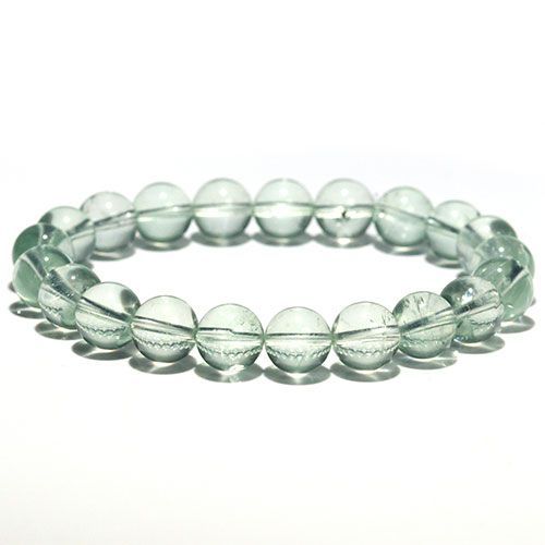 5千円値下げ　❻龍眼　大玉タイウェン　耐寒性 5千円値下げ ➅龍眼 大玉タイウェン 耐寒性 ロンガン(竜眼・リュウガン