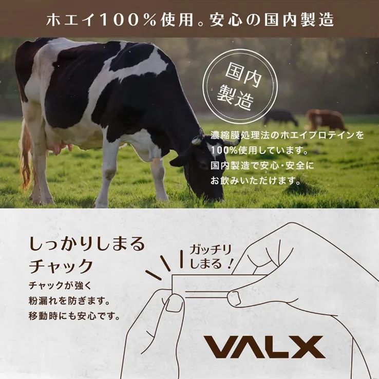 VALX バルクス ホエイ プロテイン チョコレート風味 WPCプロテイン