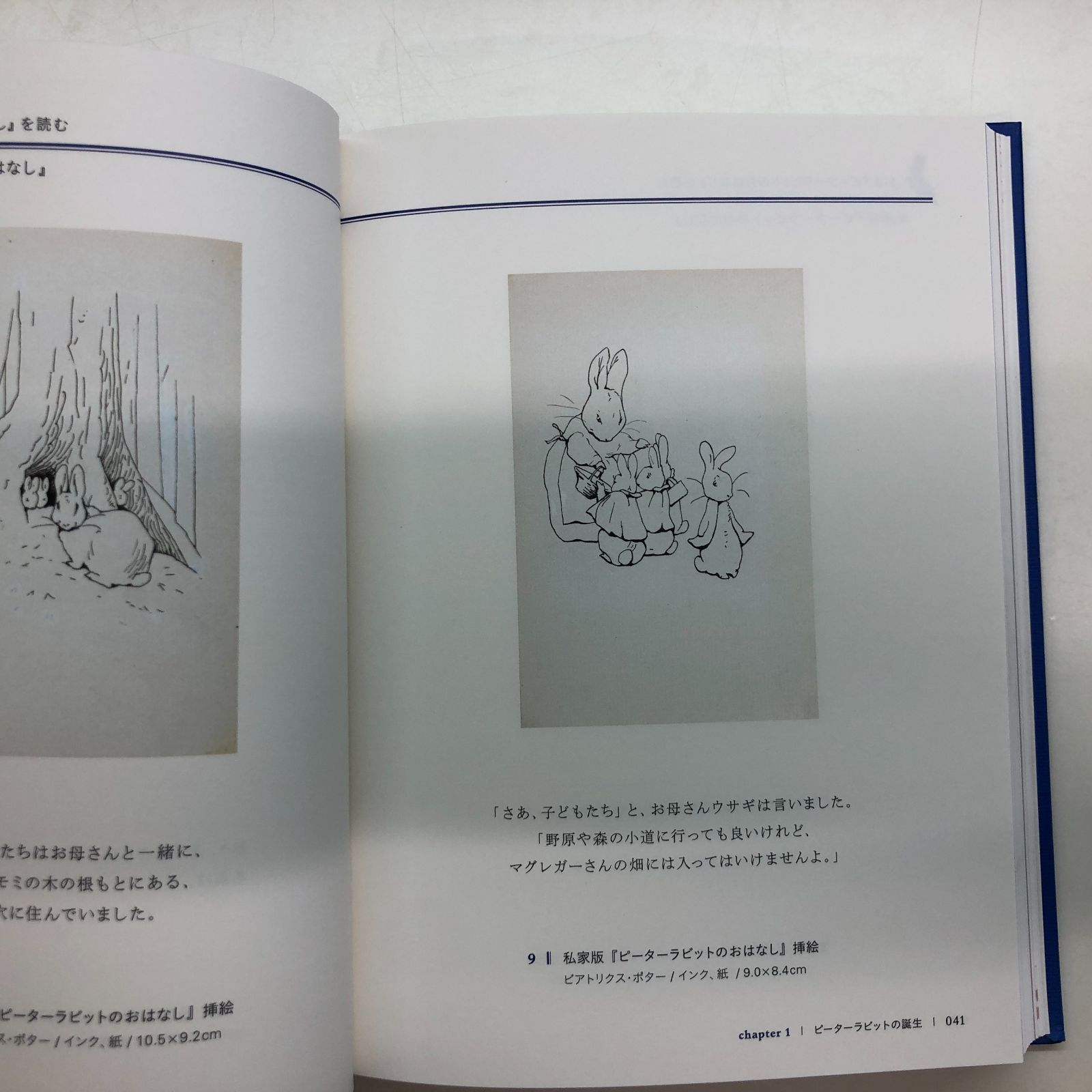 図録ピーターラビット展>>L-1-0924841 - メルカリ