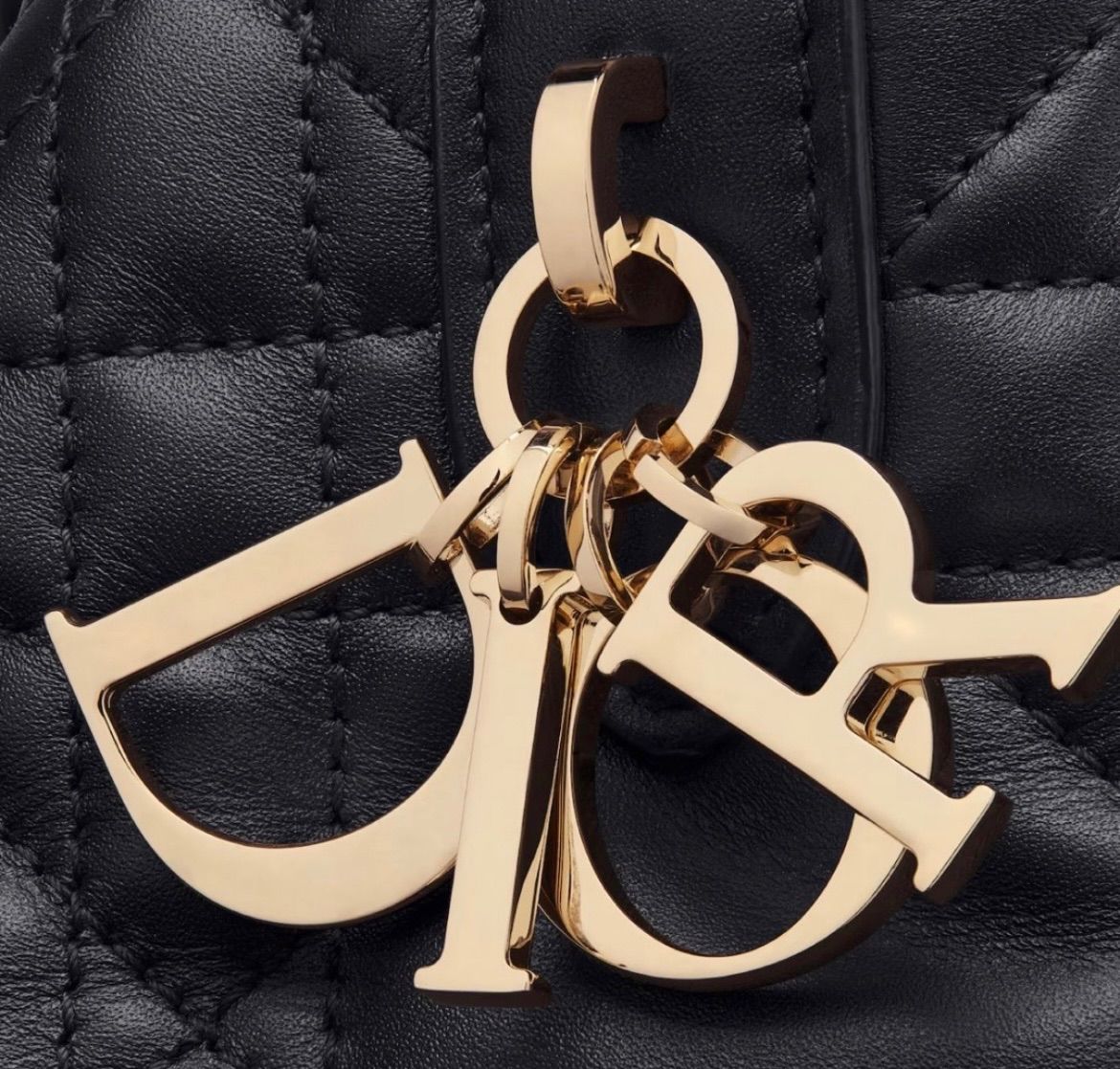新品 定価以下 Christian Dior ディオール DIOR TOUJOURS バッグ