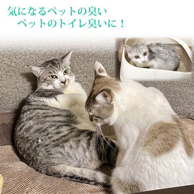 介護 リフレッシュバイオ