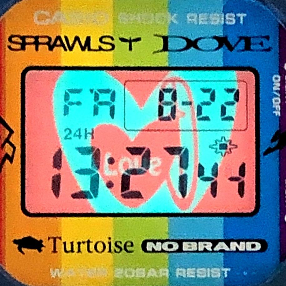 G-SHOCK ジーショック DW-5600SF-2 We Love Surfing サーフィン サーフ