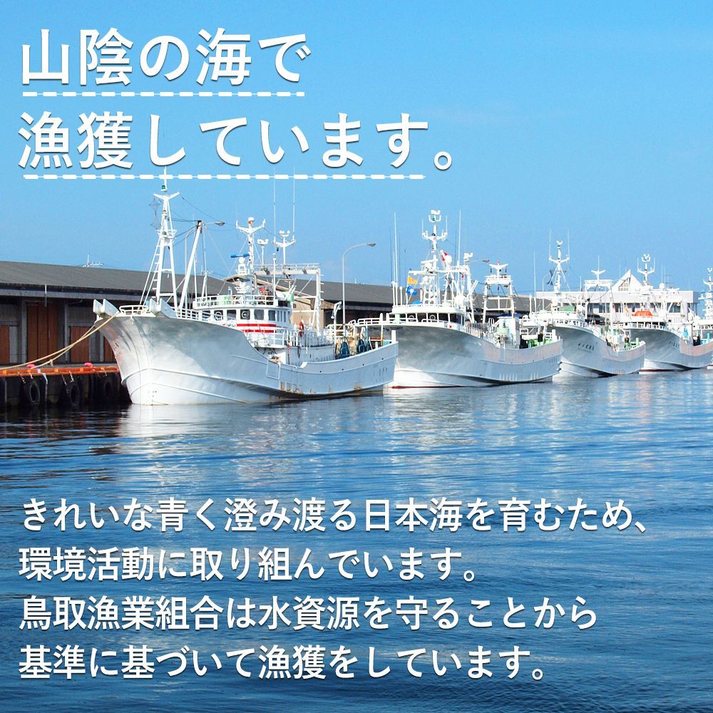 2枚〜4枚