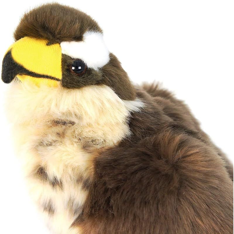 特価商品】ハヤブサ 鳥 鷹 ぬいぐるみ リアル 23センチ ペット