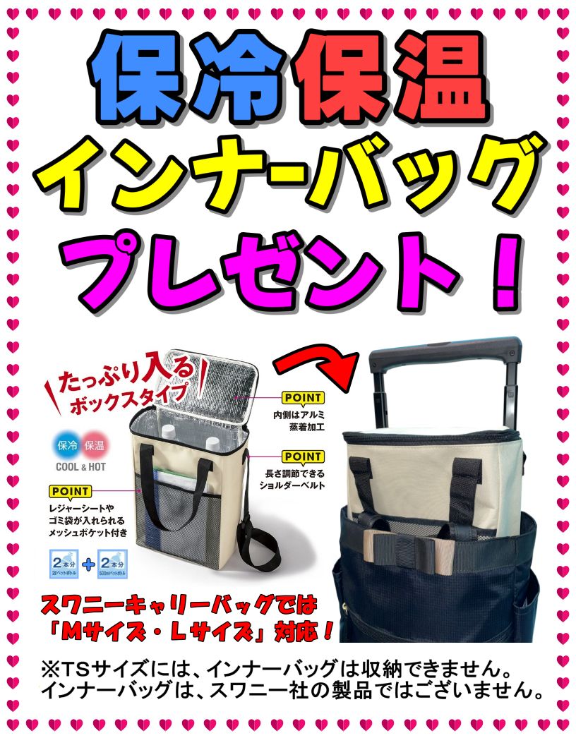 SWANY スワニー キャリーバッグ 新型 D-686 シテーロ L21サイズ