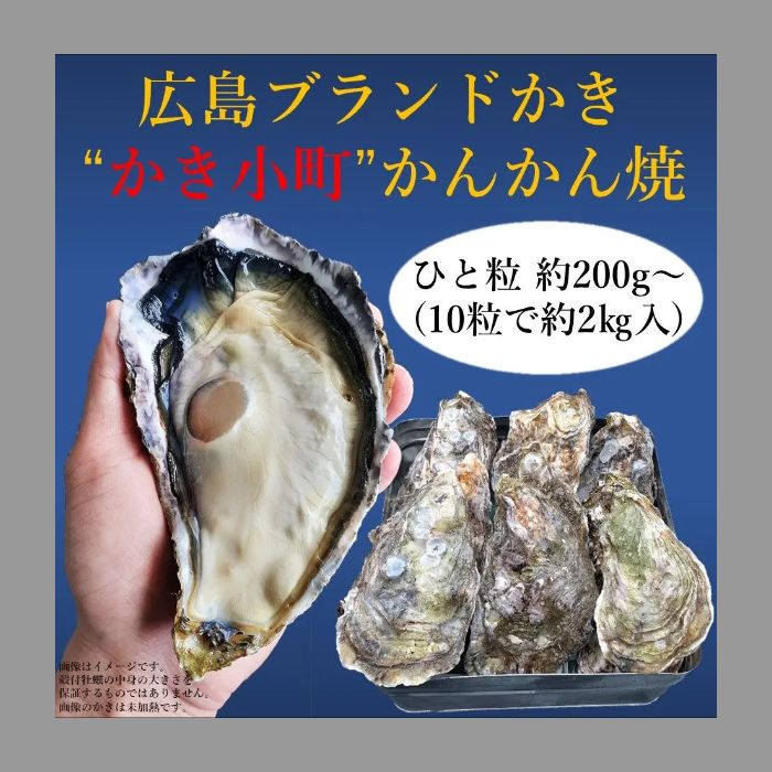 【広島ブランド牡蠣「かき小町」のかんかん焼き 3個セット】殻付の広島牡蠣（冷凍）約２㎏入を3個