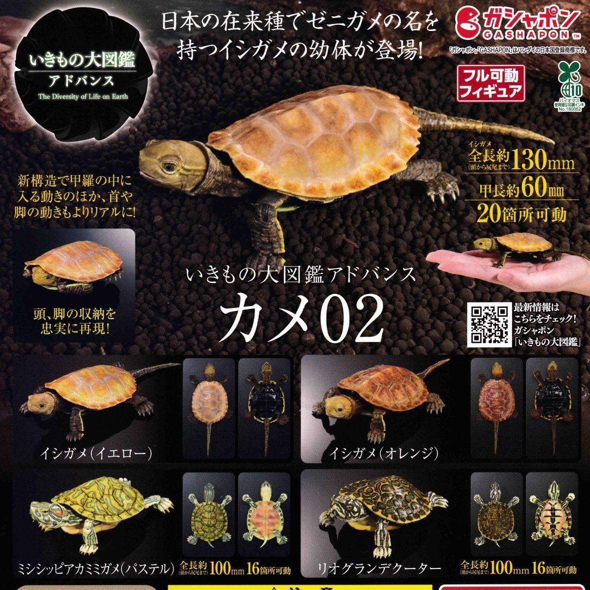 いきもの大図鑑 アドバンス カメ02 フルコンプセット いきもの大図鑑アドバンス カメ02 [全4種セット フルコンプ
