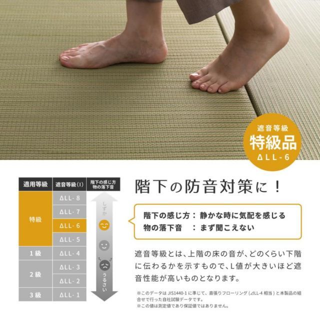 同色9枚セット い草100％
