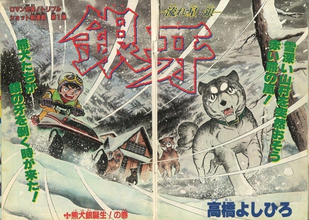 フレッシュジャンプ 1983年6月号 昭和少年誌 フレッシュジャンプ