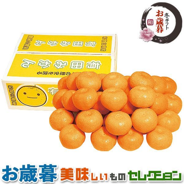 専用 アイドロン パンデム NDロードスター ブラック