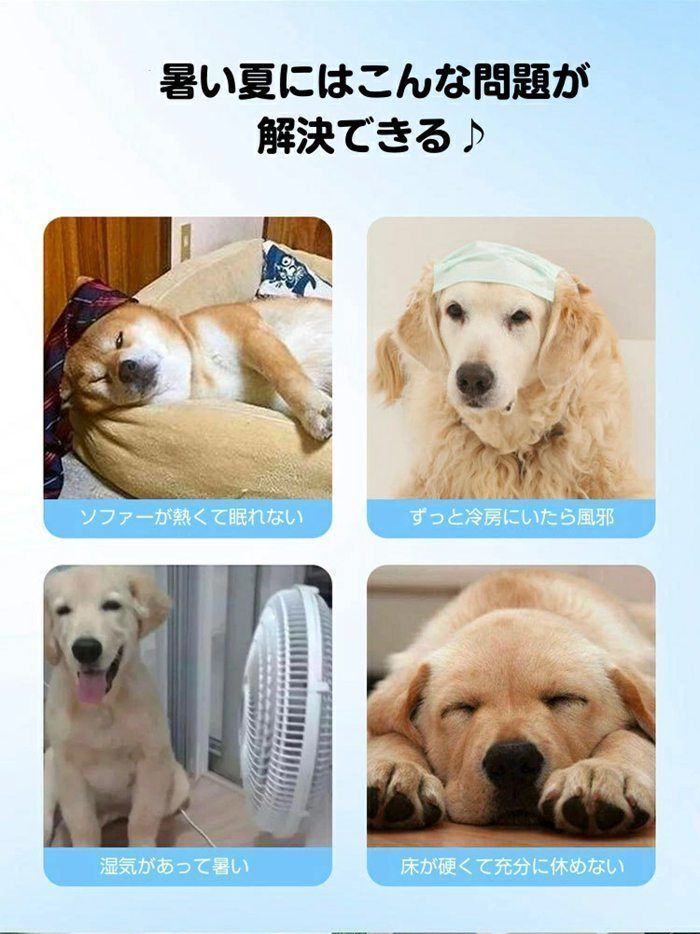 まっとクッショ xzdscqm