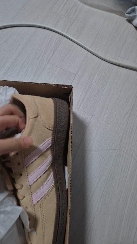 【特価セール・SALE】 アディダス ハンドボール スペツィアル ウィメンズ 240 JI2651