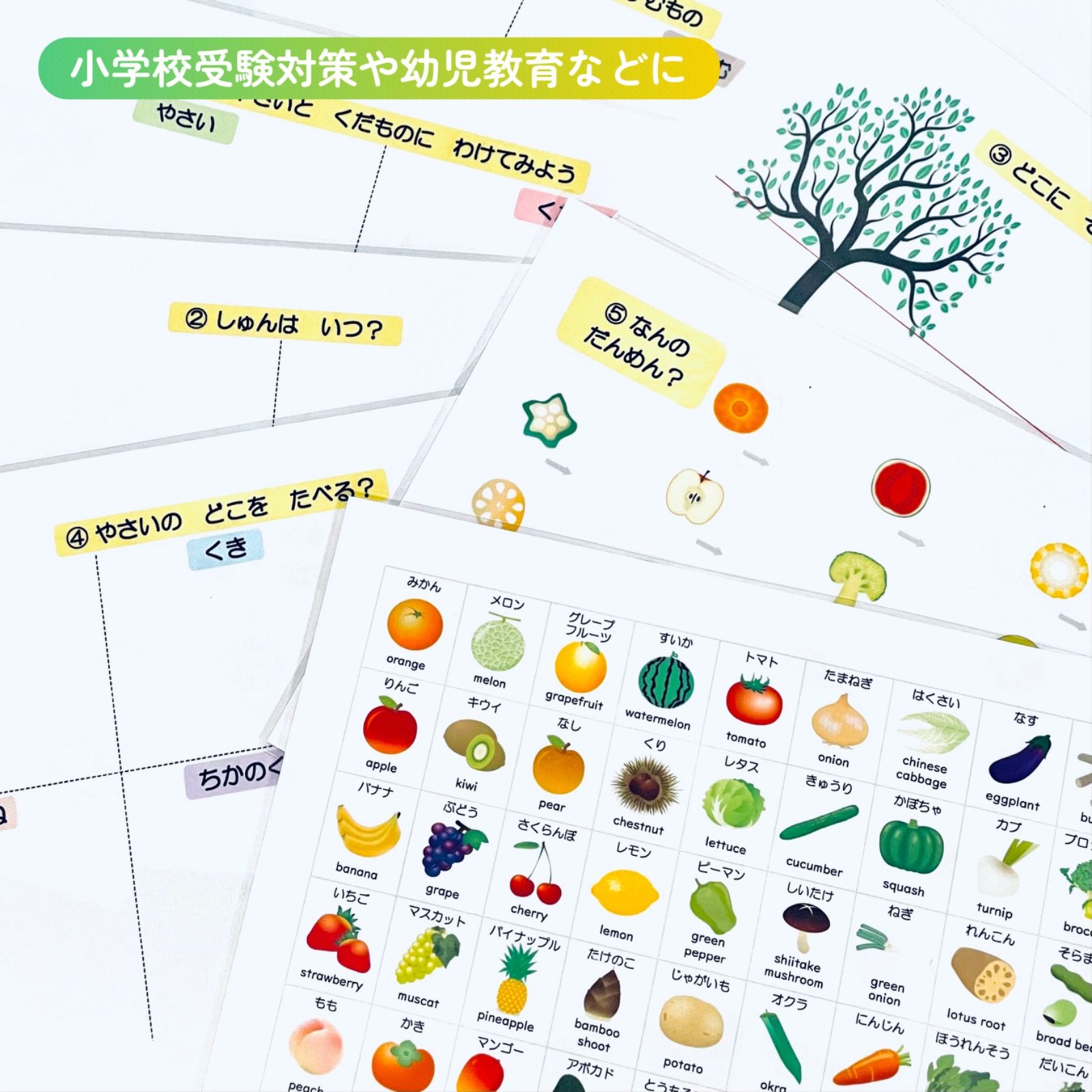 【完成品】野菜・果物カード　小学校受験教材　理科的常識　幼児教育　知育　断面図 果物野菜 断面カード 家庭学習 小学校受験教材 理科的常識 断面